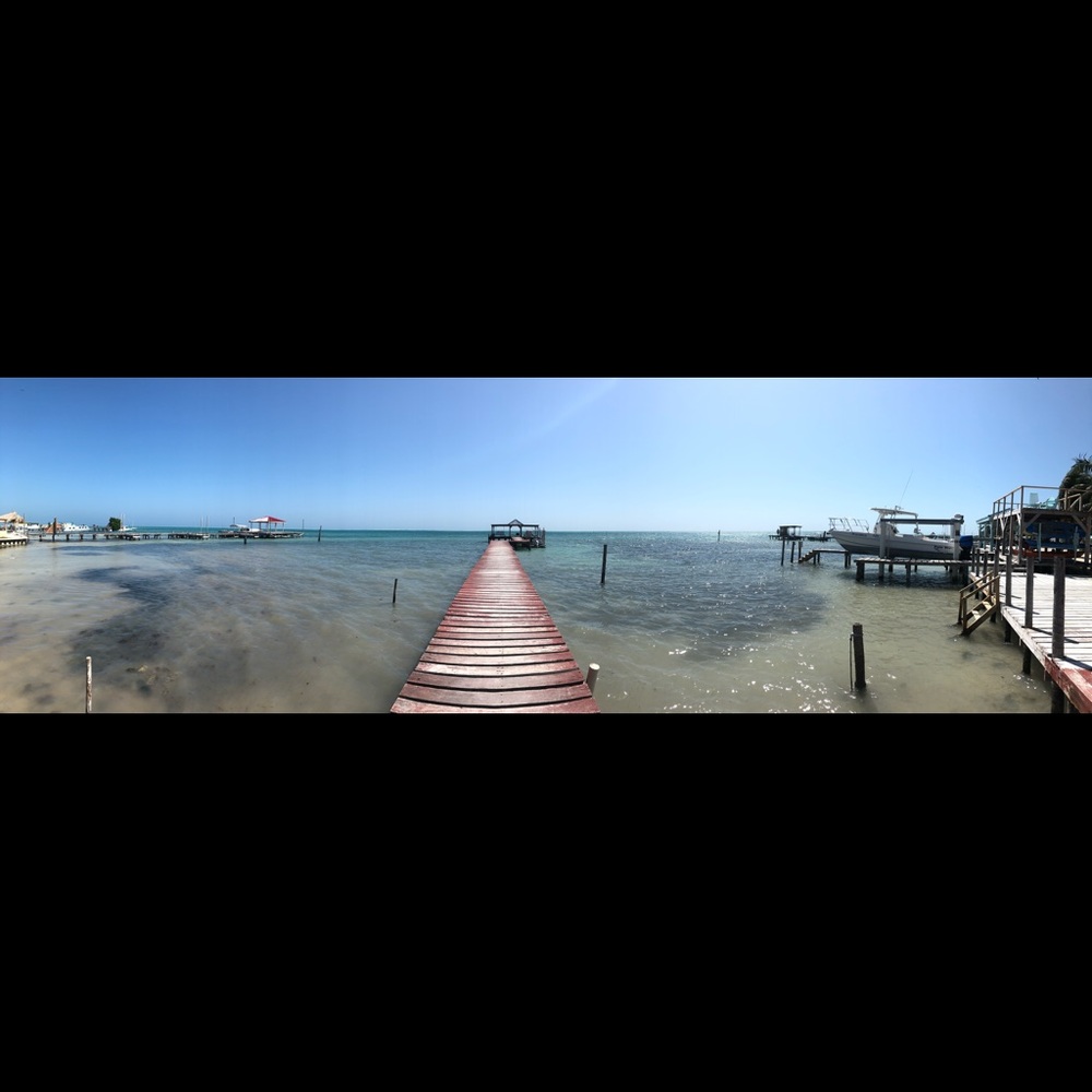 Meet your Posher, Grace